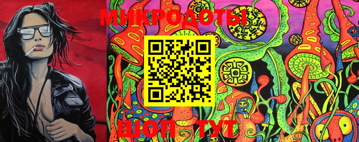 Псилоцибиновые грибы Magic Shrooms  Вход с VPN  Нерюнгри 